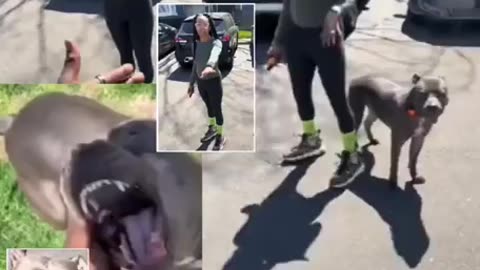Every nigger deserves this
