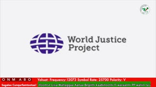 Oduu Waaree ONM-ABO Onkoloolessa 29 -2025 itti dhiyaadhaa!