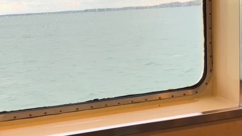 🔭👁️ Mysterious Object Spotted on Ferry: Can You Identify It?! | TheTruthAbove