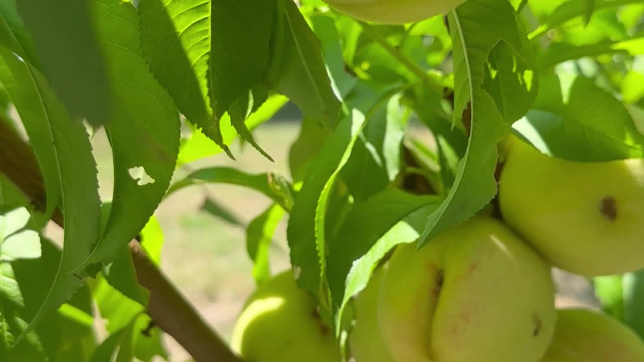 God raise your vibrations and change on the inside in positive way and transform life on the outside