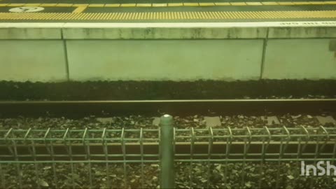 SILENT TRAIN 🔇🔕