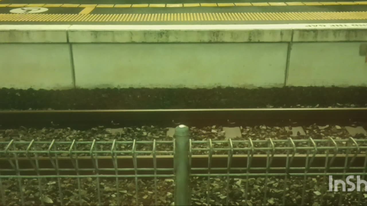 SILENT TRAIN 🔇🔕
