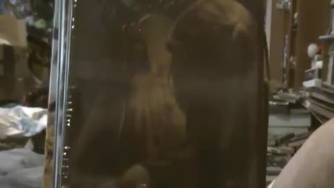 Pop Culture Unboxing Episode 127_ Horror Pack August (DVD) 2017