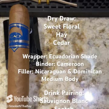 Fasa Sombra (CAO) 6x60 Gigante #CigarOfTheDay #Shorts #Short #YTShorts #Review