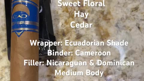 Fasa Sombra (CAO) 6x60 Gigante #CigarOfTheDay #Shorts #Short #YTShorts #Review