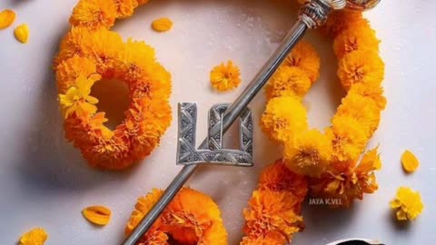 ONE SUN ONE TMS LEGEND M.THIRAVIDA SELVAN SINGAPORE TMS FANS 2025