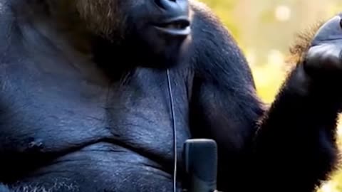 GORILLA VS MEN PODCAST