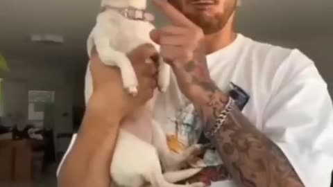 animal funny