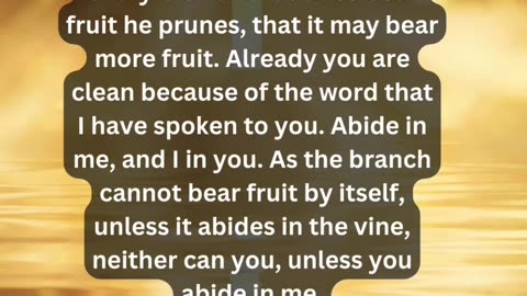 Journey of faith and spiritual growth John 15:1-4 Daily Bible Verse