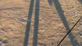 😂🤣 Funny Shadows You Can't Unsee! | FunFM