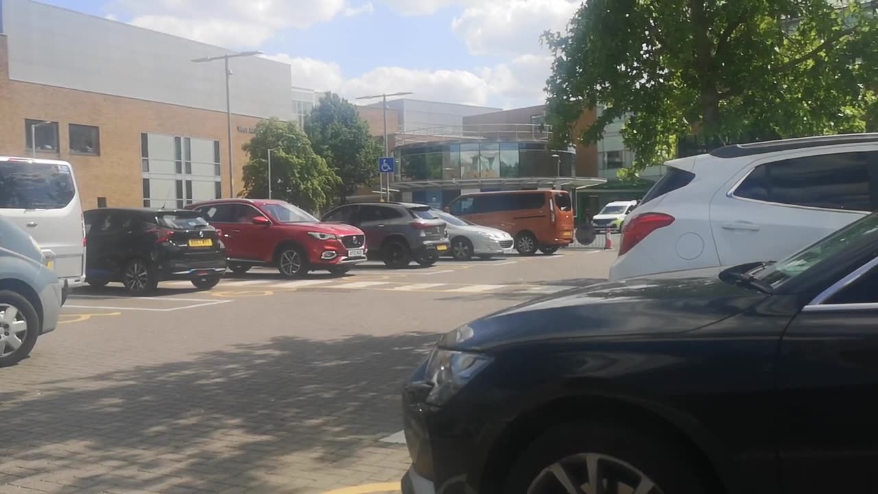 No Sandringham Serial Killer Black Wizard Terrorist Diss Shooter Here Google Johnny Botwright B