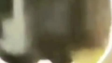 🛸👽 Is This the Las Vegas Alien? You Decide! | TheTruthAbove