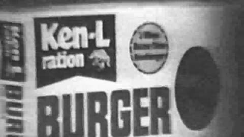 Commercial - Burgertime Dog Food