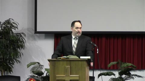 Why does the Holy Spirit allow differences in the Gospels? (Q&A)