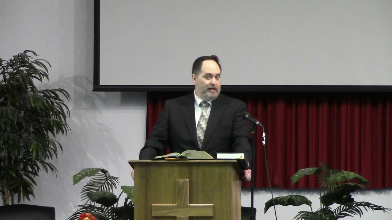 Why does the Holy Spirit allow differences in the Gospels? (Q&A)