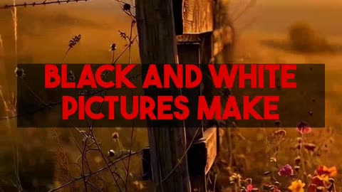 Unpacking Black and White Images in 3D Digital Art