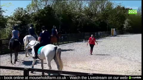 Mousehold Farm All Weather Riding arena