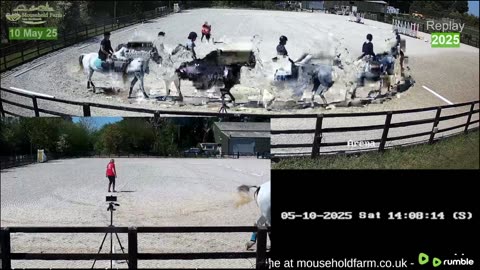 Mousehold Farm All Weather Riding arena