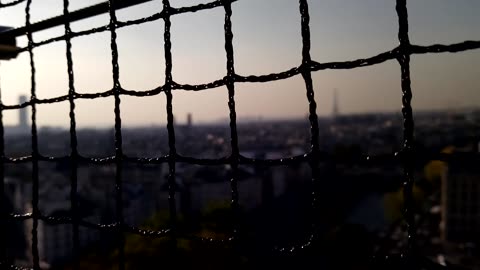 Above Notre-Dame: A Breathtaking Look at Paris from the Cathedral Roof