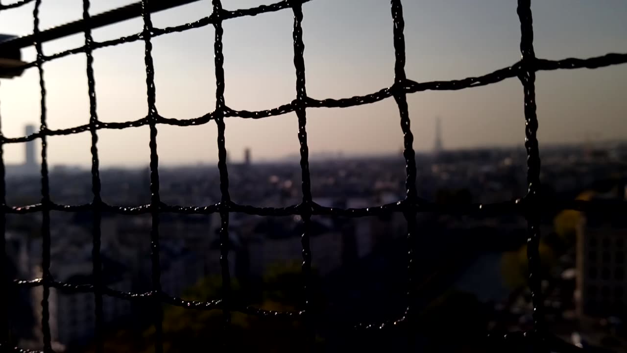 Above Notre-Dame: A Breathtaking Look at Paris from the Cathedral Roof