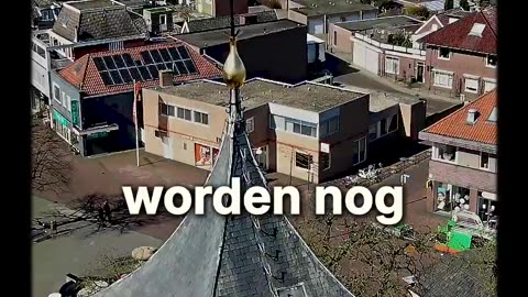 Mees Wijnants
