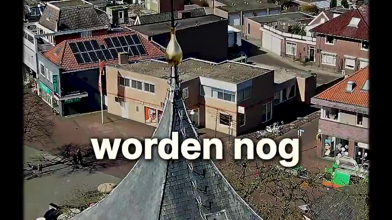 Mees Wijnants