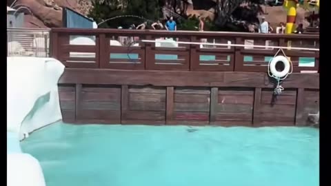 😂💦 Respect the Rules? Watch What Happens at the Water Park! | FunFM