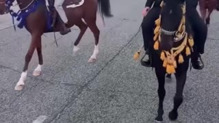 Mohammed Aburdaha causes chaos in the streets of Hickory Hills