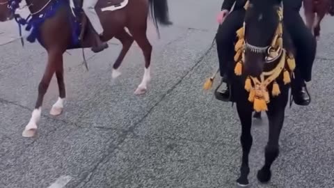 Mohammed Aburdaha causes chaos in the streets of Hickory Hills