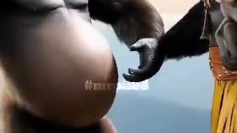 I do