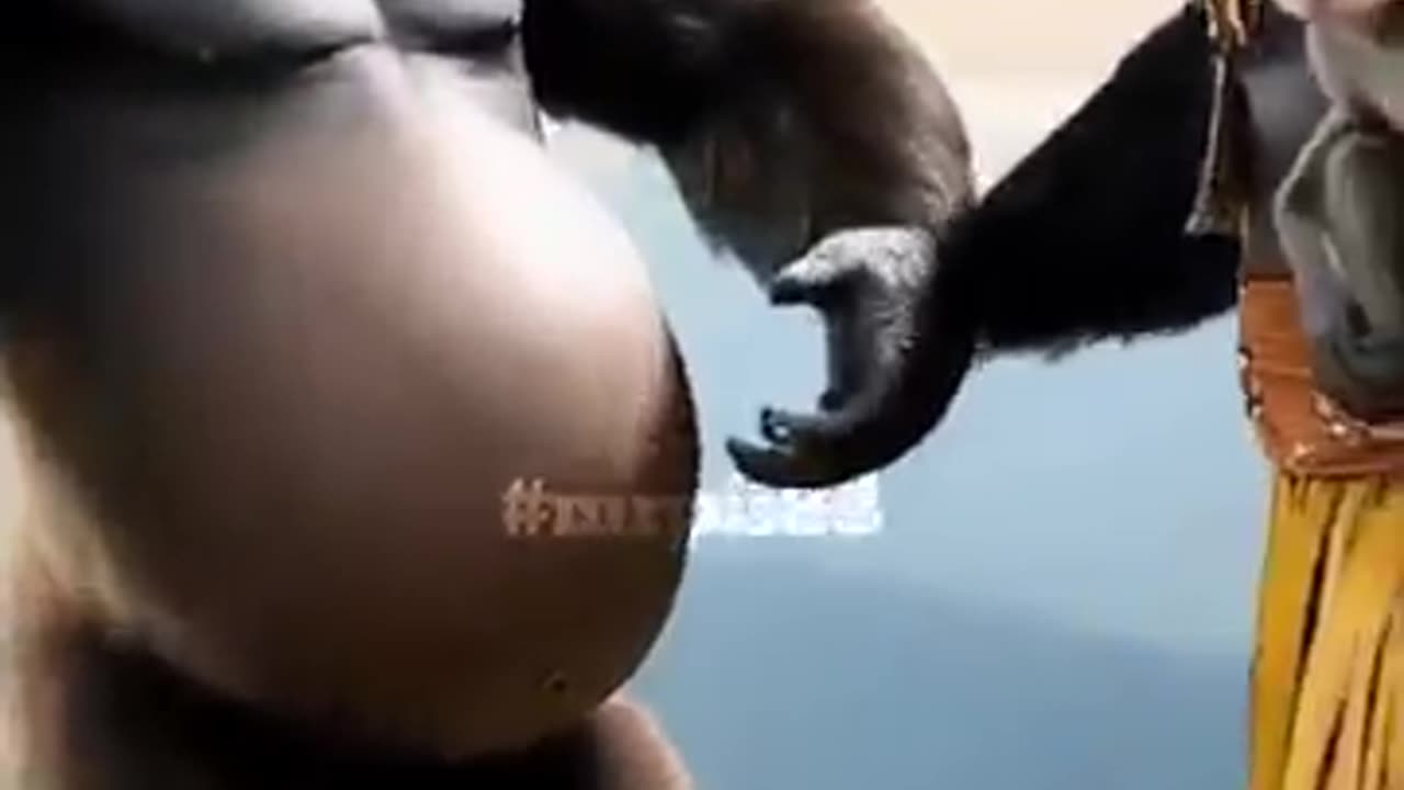 I do