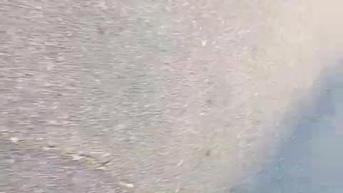 Dog Shit Patrol ~20 separate piles and visit by Scappoose FD