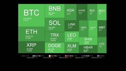 Live Coin Price Watch!