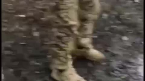 Russian Reinforcements Arrive Just In Time to Gawk At and Film of Fallen Comrades