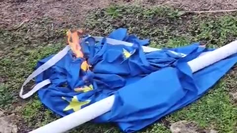 Europeans have really had enough of EU's criminal politicians.