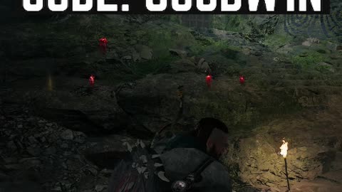 WHAT DID HE JUST SAY?