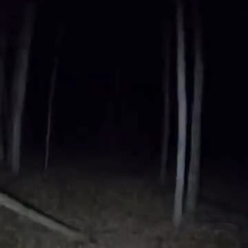 Creepy Camping Encounters That Will Shake You
