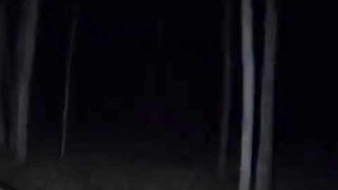 Creepy Camping Encounters That Will Shake You