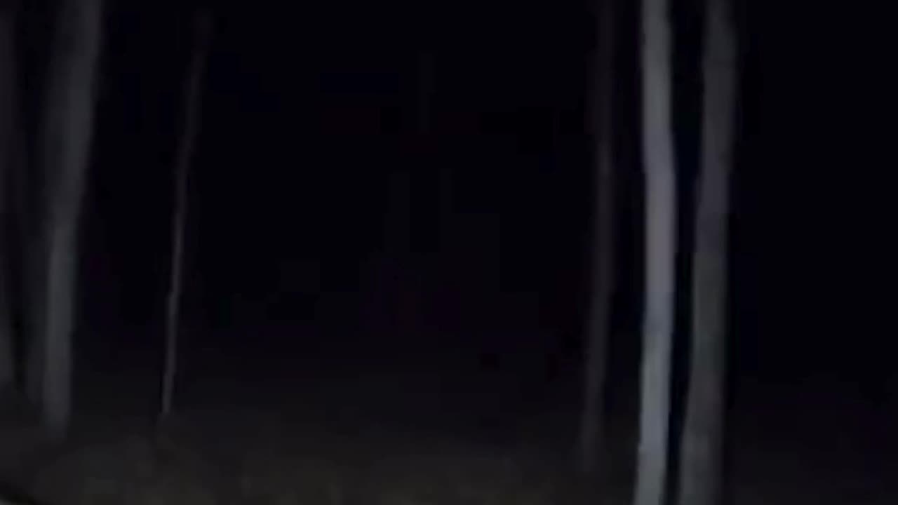 Creepy Camping Encounters That Will Shake You