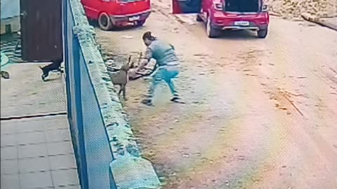 Man fights off vicious pit bull