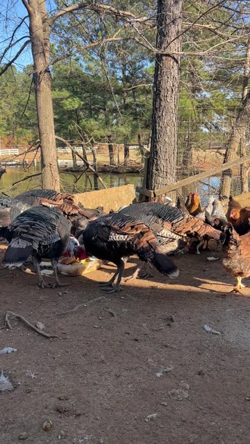 Allan don't mess around when it's Snack Time!!