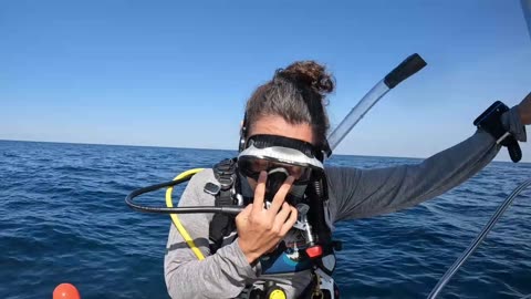6.1.25 Scuba Diving St Augustine FL - Little Barge Culverts