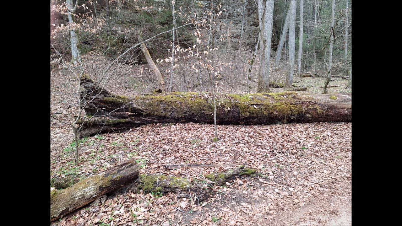 G.L.O.R.Y. 3-22-25 Hocking Hills