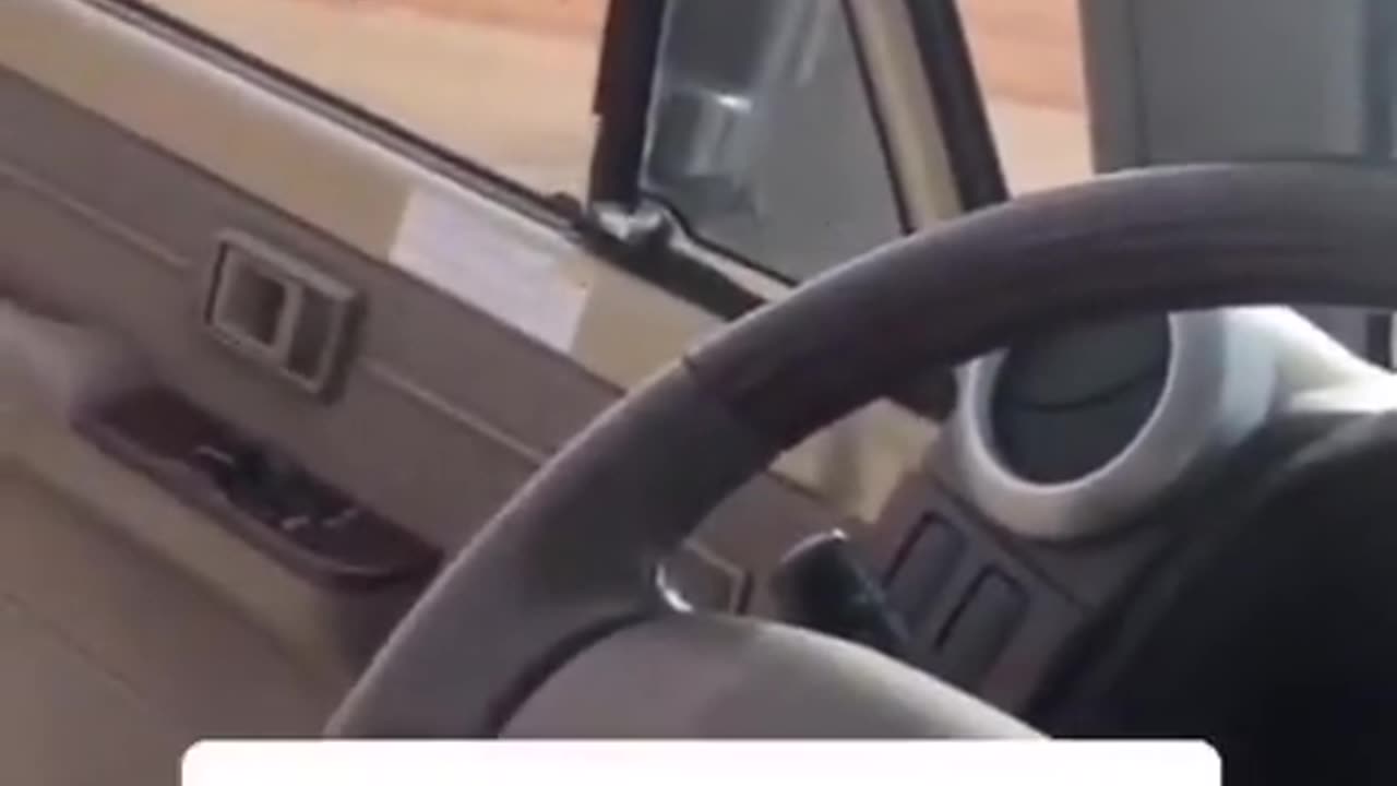 Camel Off the Road!