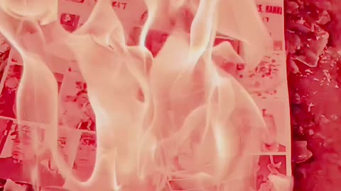 Tim Rifat TikTok Videos