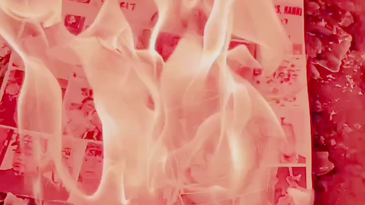 Tim Rifat TikTok Videos