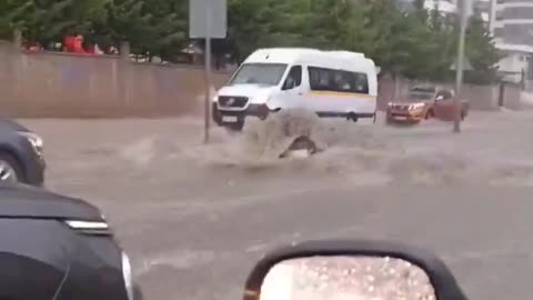 Turkey Mother Nature isn’t playing around…