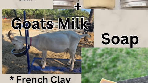 Goats Milk + Tallow Soap