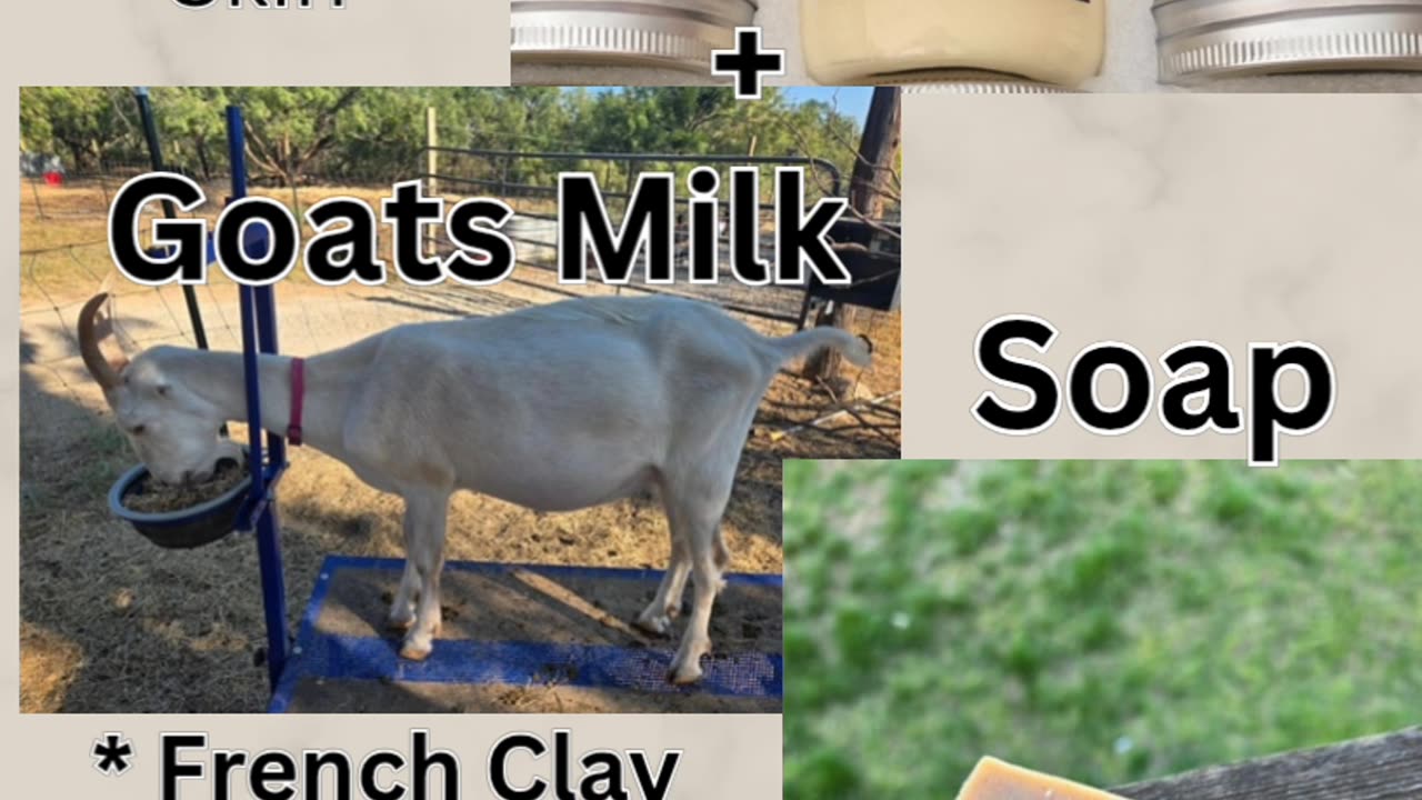 Goats Milk + Tallow Soap