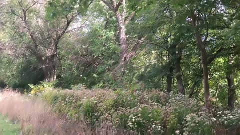 A Far Walk Southwest